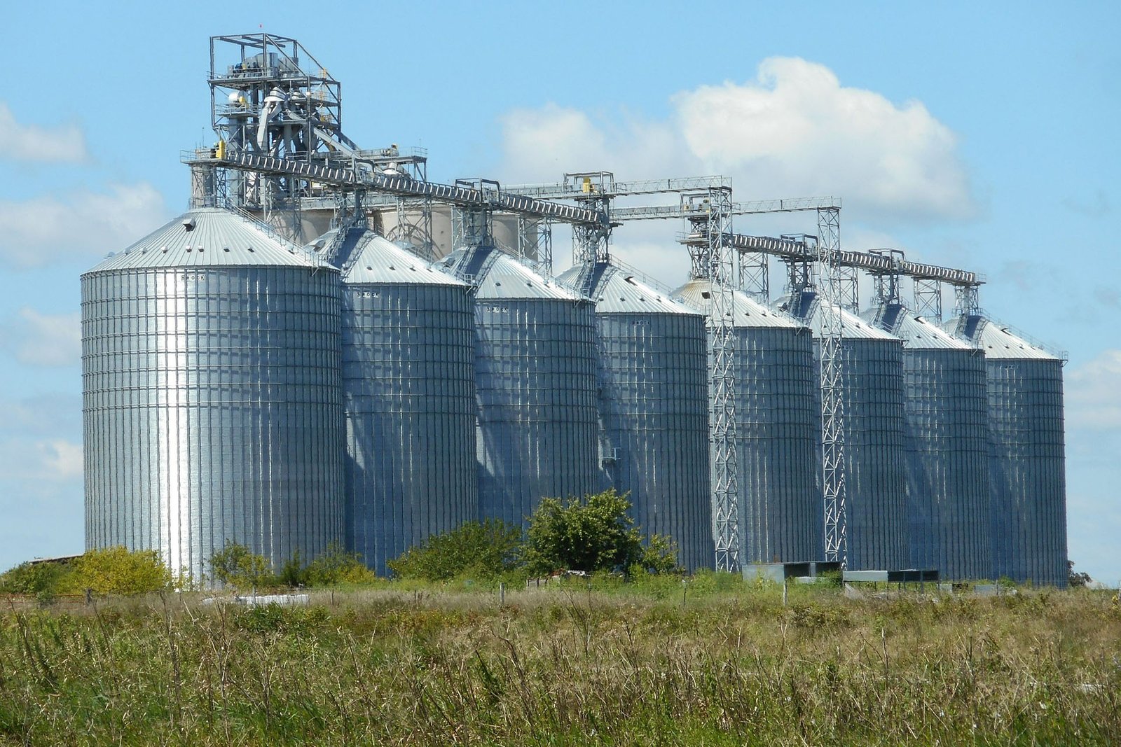 Grain Storage